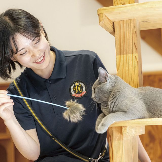 専門学校　福岡ビジョナリーアーツ 【ペット】卒業制作 見学ツアー☆1