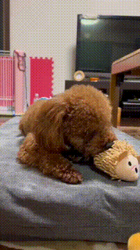 OCカメラサムネイル画像