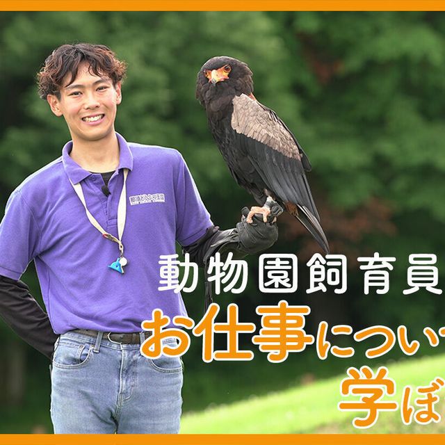 ＴＣＡ東京ＥＣＯ動物海洋専門学校 動物園飼育員のお仕事について学ぼう1