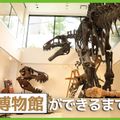 博物館ができるまで／ＴＣＡ東京ＥＣＯ動物海洋専門学校