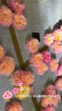 OCカメラサムネイル画像