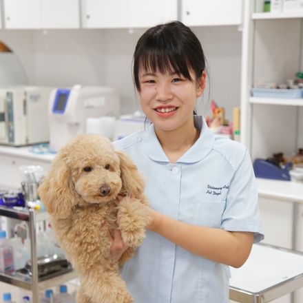 在校生レポート画像