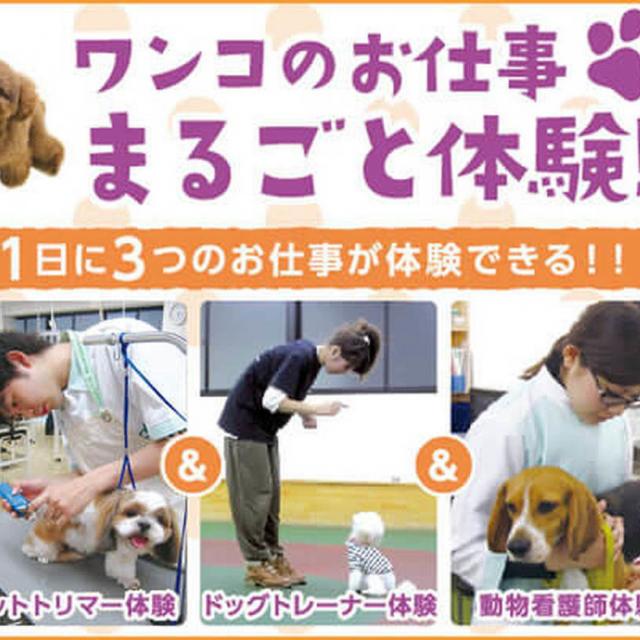 大阪ECO動物海洋専門学校 【1日に3つのお仕事体験!】ワンコのお仕事まるごと体験!1