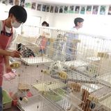 【キャットプロ】4月に完成★キャットフロアで猫の飼育管理！の詳細