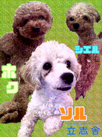 OCカメラサムネイル画像