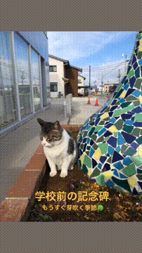 OCカメラサムネイル画像