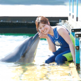 【ドルフィントレーナー】トレーナーのお仕事について学ぼう！の詳細