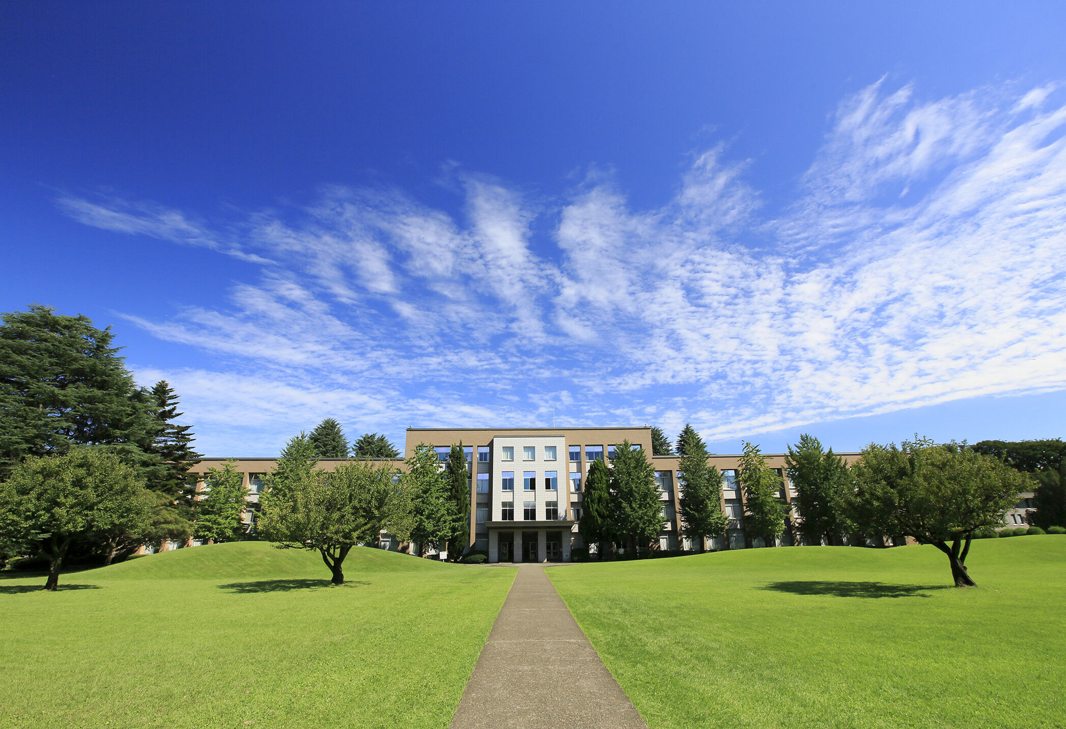 国際 基督教 大学 偏差 値