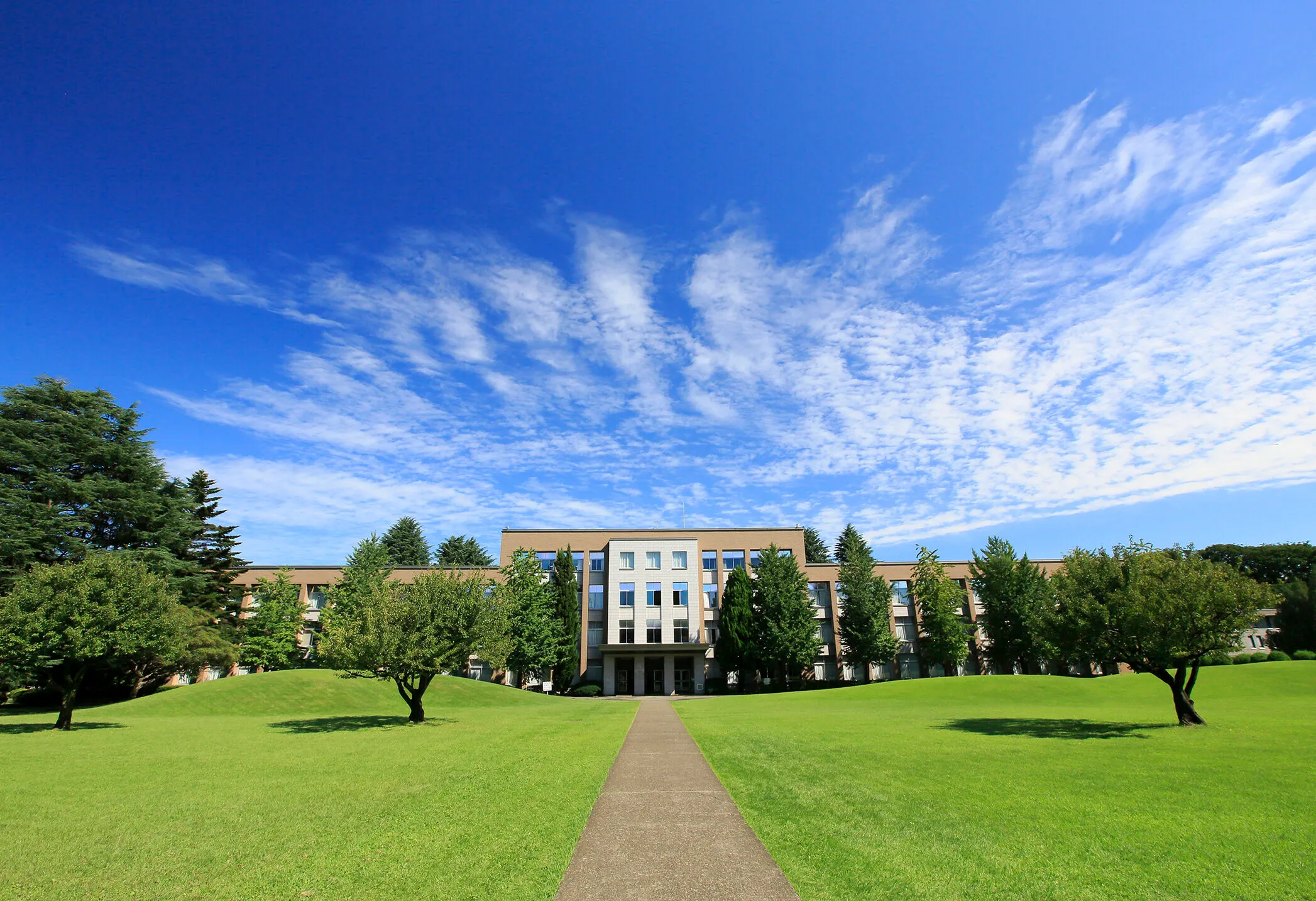 国際 基督教 大学 偏差 値