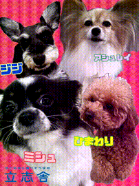 OCカメラサムネイル画像