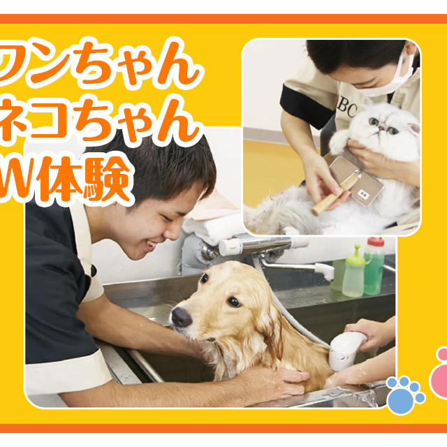 大阪ビジネスカレッジ専門学校 ワンちゃんネコちゃん W体験1