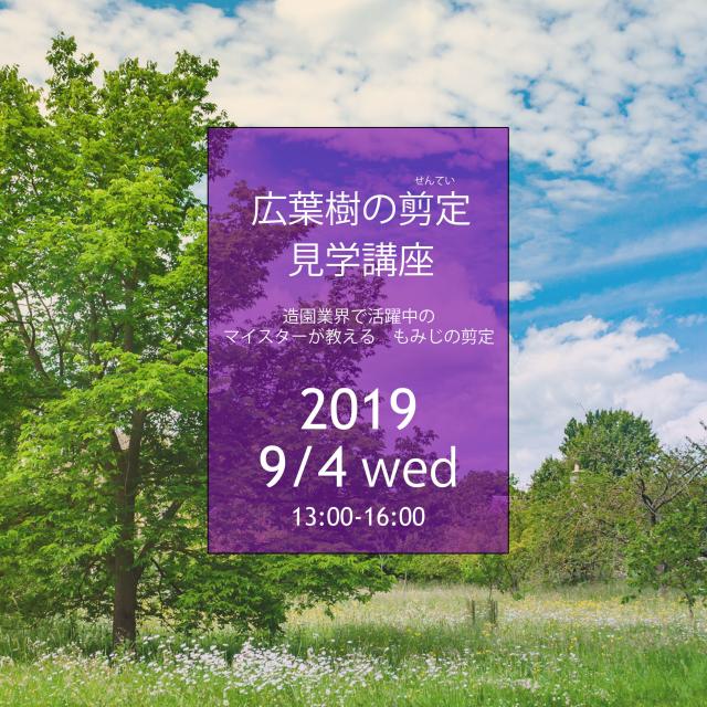 札幌工科専門学校 職業見学講座 造園マイスターが教える もみじの剪定1