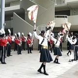 詳細を見る