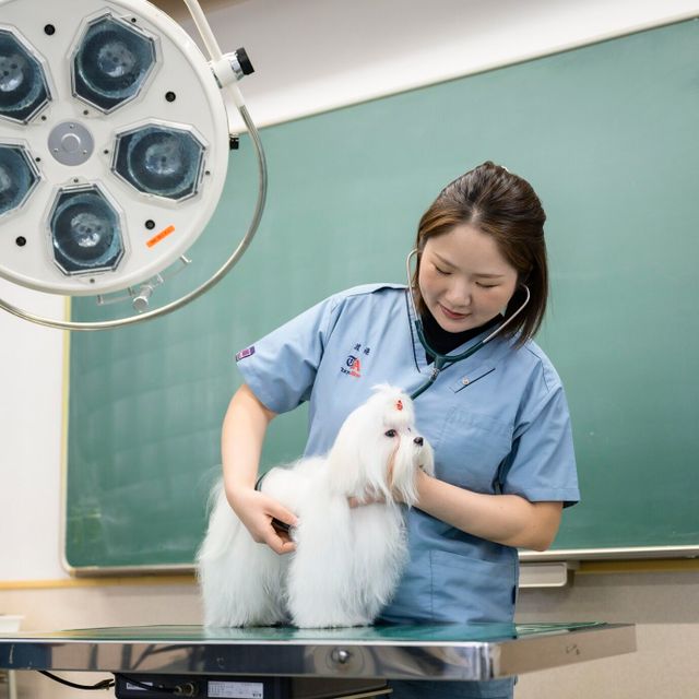 東京愛犬専門学校 動物看護学科　広く学び唯一無二の人材を目指す学校の体験入学1