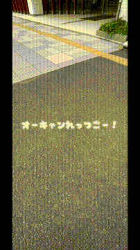 OCカメラサムネイル画像