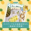 武蔵野栄養専門学校 パイナップルの缶詰を作ろう ～食品加工学実習～