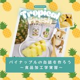 パイナップルの缶詰を作ろう ～食品加工学実習～の詳細
