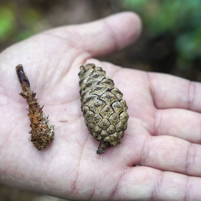 東京環境工科専門学校 『哺乳類のフィールドサイン』体験授業を同時開催！2