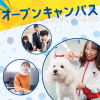 横浜動物専門学校 オープンキャンパス