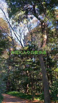 OCカメラサムネイル画像