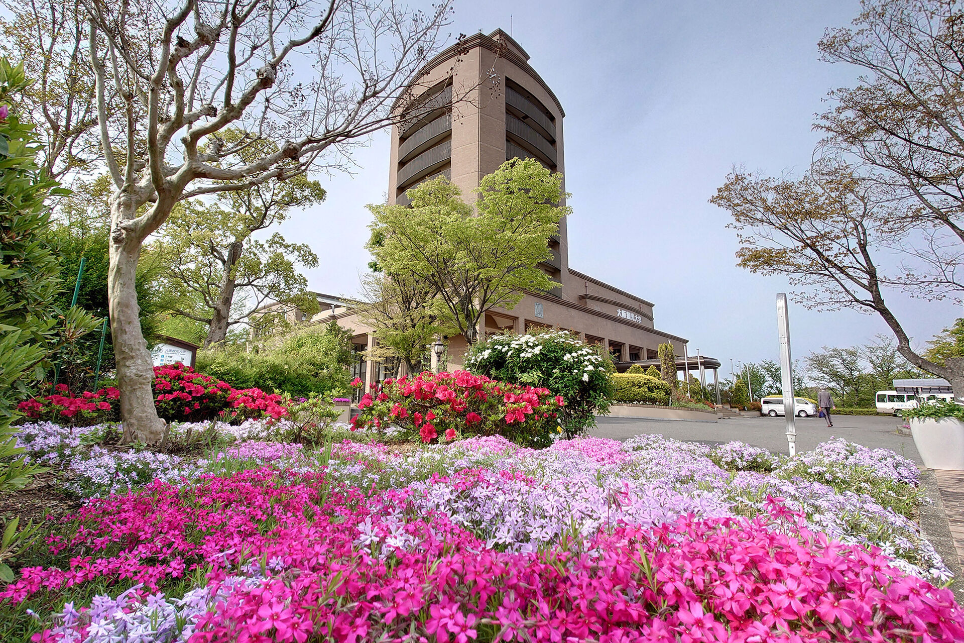 大阪 観光 大学