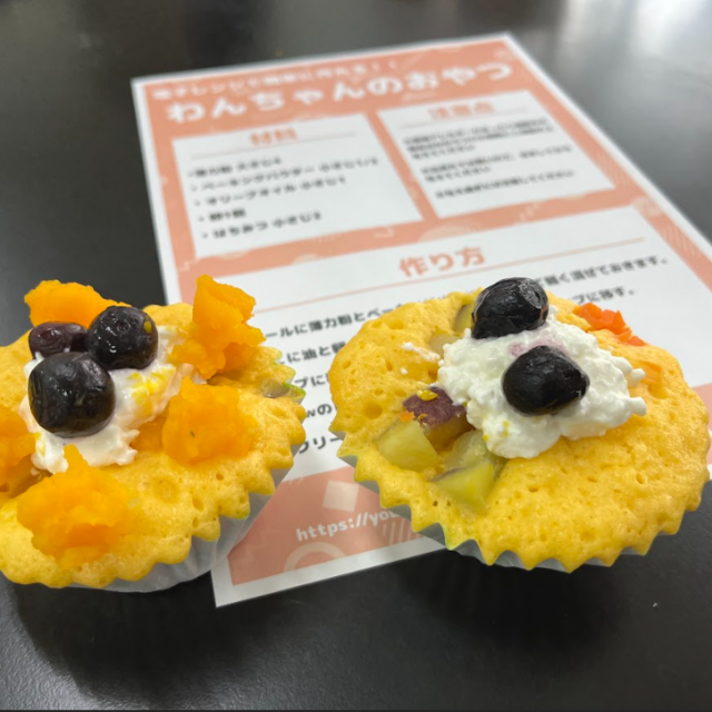 沖縄ペットワールド専門学校 1・2年生のみなさんへ動物のプロを目指そう。オープンキャンパス2