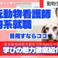 倉敷芸術科学大学 芸科大　動物生命科学科【YouTube】オープンキャンパス！