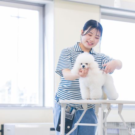 在校生レポート画像