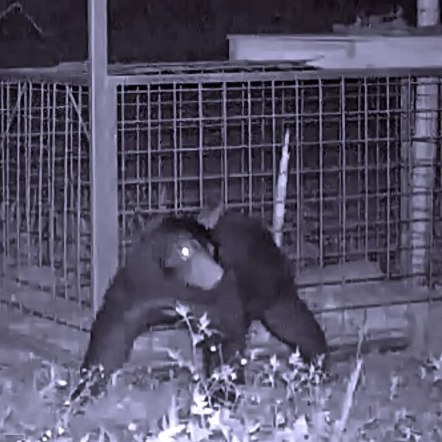 東京環境工科専門学校 『ハンター、保護するために狩るとは』特別授業を同時開催！1