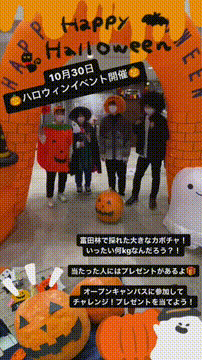 OCカメラサムネイル画像