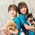 東京ブレーメン動物専門学校 夏休み看護体験