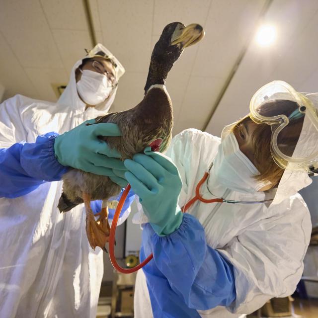 東京環境工科専門学校 『野生動物リハビリテーション』特別講義を同時開催！2