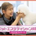 ＴＣＡ東京ＥＣＯ動物海洋専門学校 ペットエステティシャン体験（アロマ＆マッサージ）