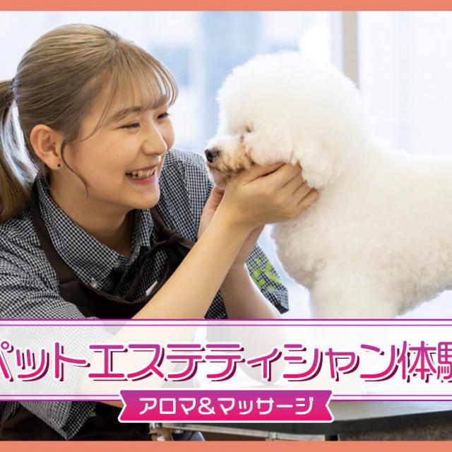 ＴＣＡ東京ＥＣＯ動物海洋専門学校 ペットエステティシャン体験（アロマ＆マッサージ）1
