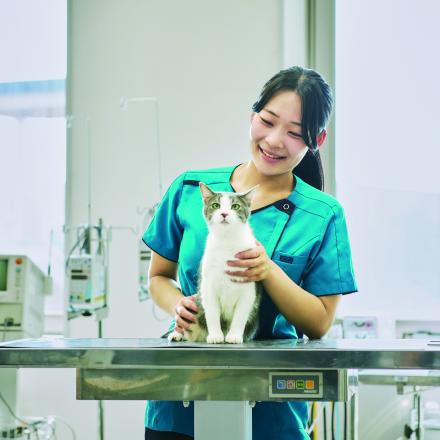 在校生レポート画像