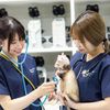 専門学校ビジョナリーアーツ いろんな動物の看護をしてみよう！