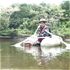 東京環境工科専門学校 『水の中で生活する植物たち』体験授業を同時開催！2