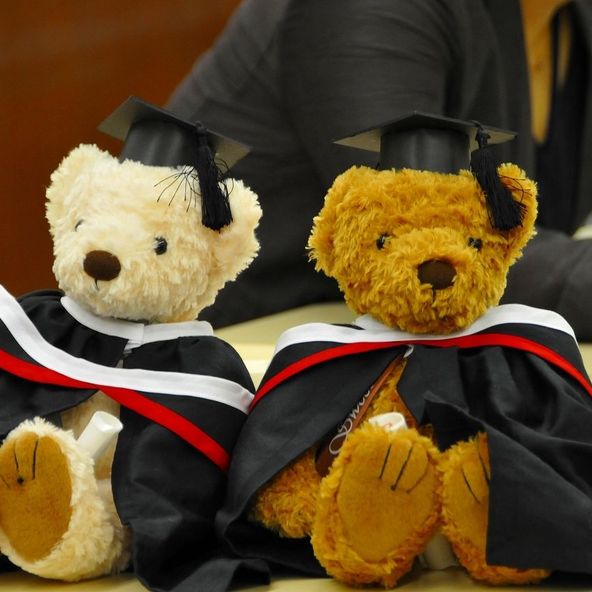 聖心女子大学 資料請求 願書請求 学校案内 スタディサプリ 進路