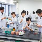 受験相談会～これから受験が出来る入試等紹介！～の詳細