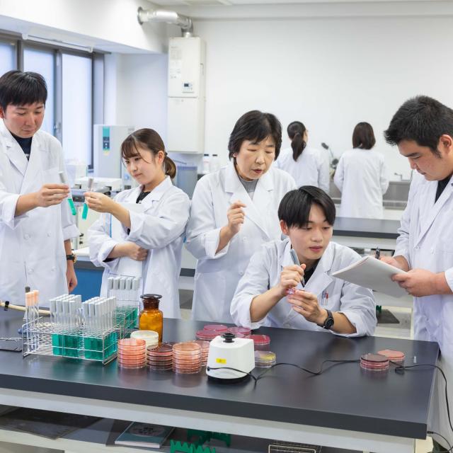 東京聖栄大学 受験相談会～これから受験が出来る入試等紹介！～1