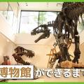 ＴＣＡ東京ＥＣＯ動物海洋専門学校 博物館ができるまで