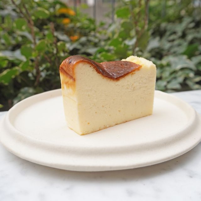 専門学校ビジョナリーアーツ お店の焼き菓子プレゼント付き！バスクチーズケーキ1