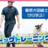 ＴＣＡ東京ＥＣＯ動物海洋専門学校 【警察犬訓練士から学ぶ！】 ドッグトレーニング