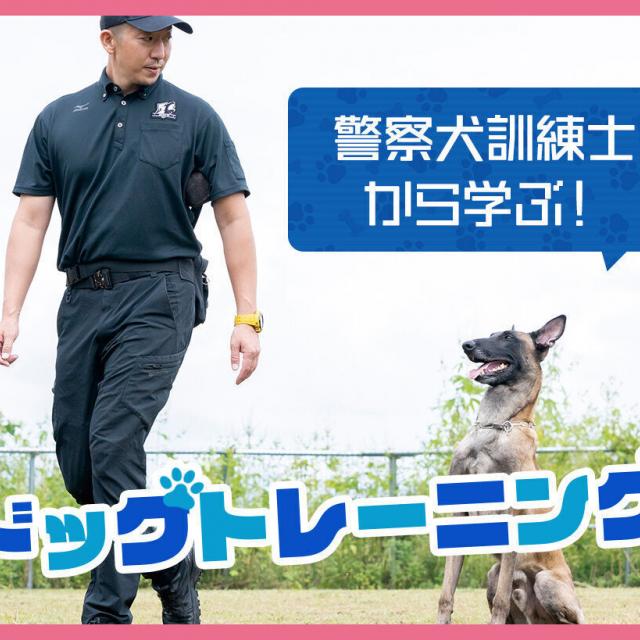 ＴＣＡ東京ＥＣＯ動物海洋専門学校 【警察犬訓練士から学ぶ！】 ドッグトレーニング1