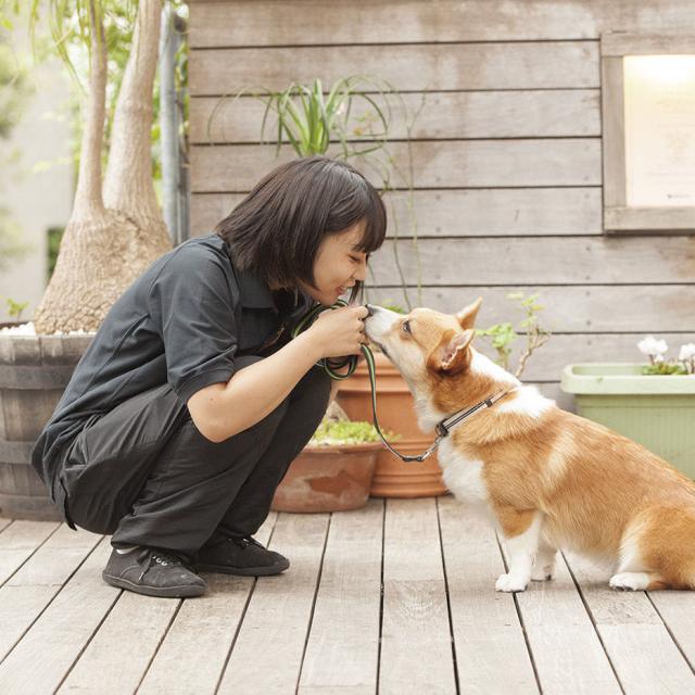 専門学校 福岡ビジョナリーアーツ 【ペット】お家で出来るワンコの健康チェック1