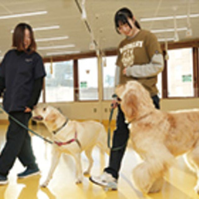 専門学校ビジョナリーアーツ 基本のドッグトレーニングを学ぼう！1