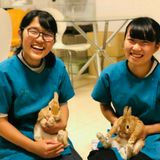 オープンキャンパス｜簡単ネット予約の詳細