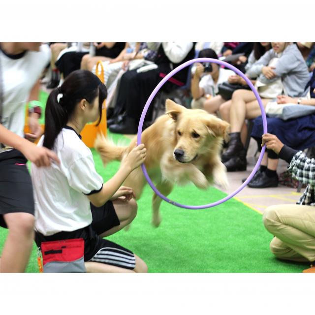 大宮国際動物専門学校 おもしろ授業体験デー【海の日】【山の日】1