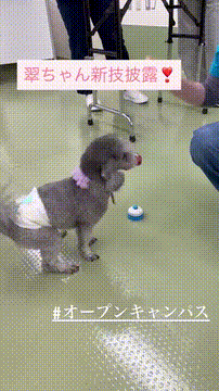 OCカメラサムネイル画像