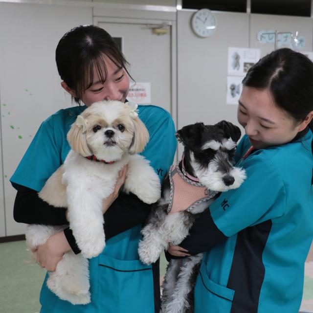 ＹＩＣ京都ペット総合専門学校 災害時ペットのためにできること1